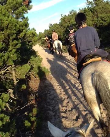 Nad Morzem Mojo Miodno Checz Sasino