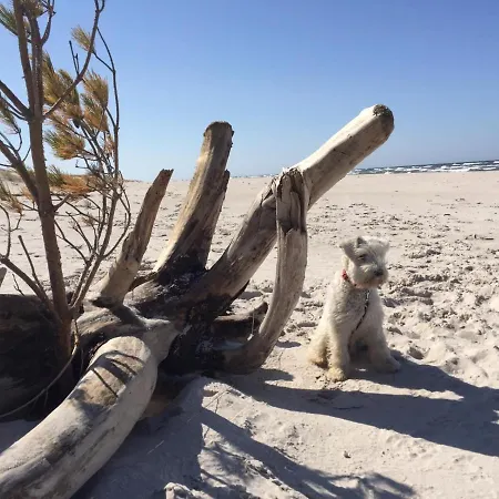 Nad Morzem Mojo Miodno Checz Lodge