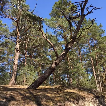 Lodge Nad Morzem Mojo Miodno Checz Sasino