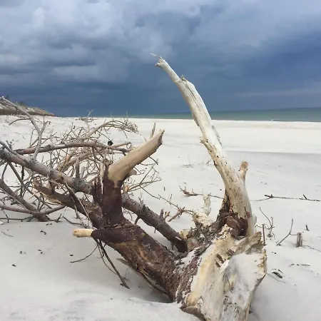 Nad Morzem Mojo Miodno Checz *