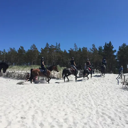 Nad Morzem Mojo Miodno Checz *