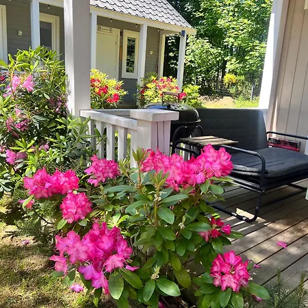 Nad Morzem Mojo Miodno Checz * Sasino