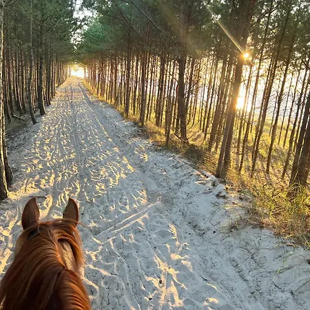 Nad Morzem Mojo Miodno Checz Prázdninový dům *