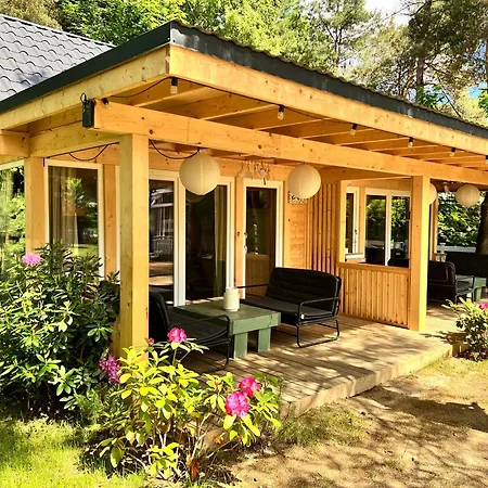 Nad Morzem Mojo Miodno Checz サシノ