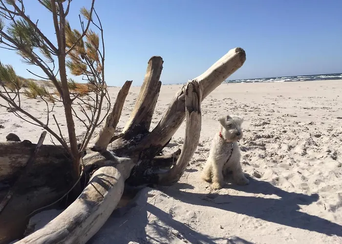 Nad Morzem Mojo Miodno Checz אכסניה