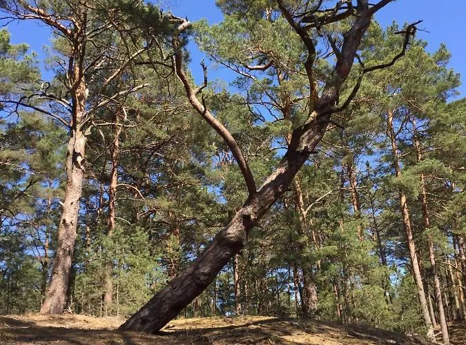 אכסניה Nad Morzem Mojo Miodno Checz סאשינו