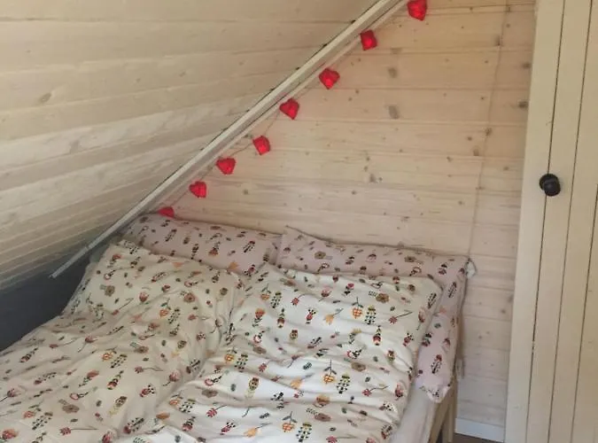 Nad Morzem Mojo Miodno Checz