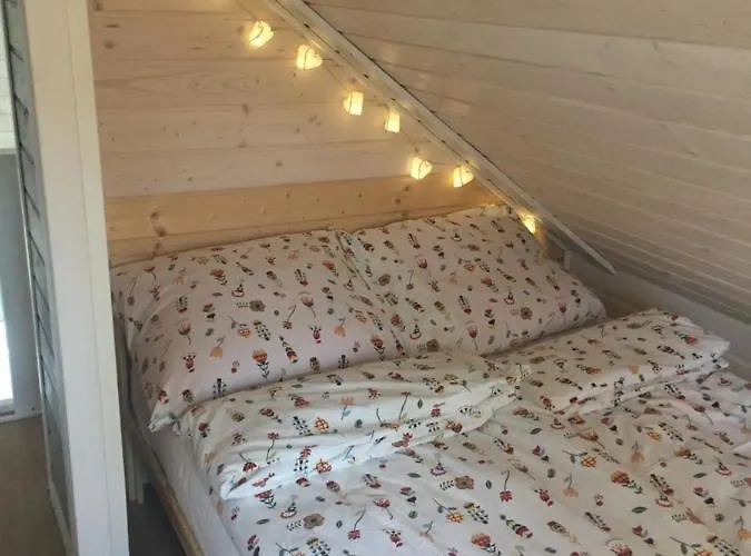 Nad Morzem Mojo Miodno Checz * סאשינו