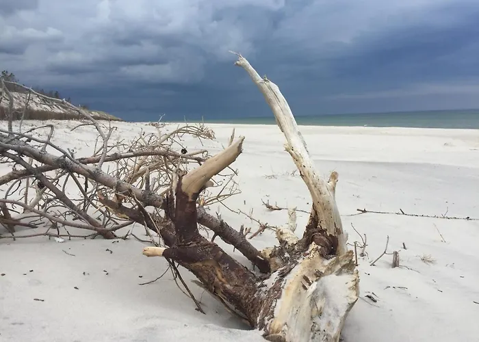 Nad Morzem Mojo Miodno Checz *