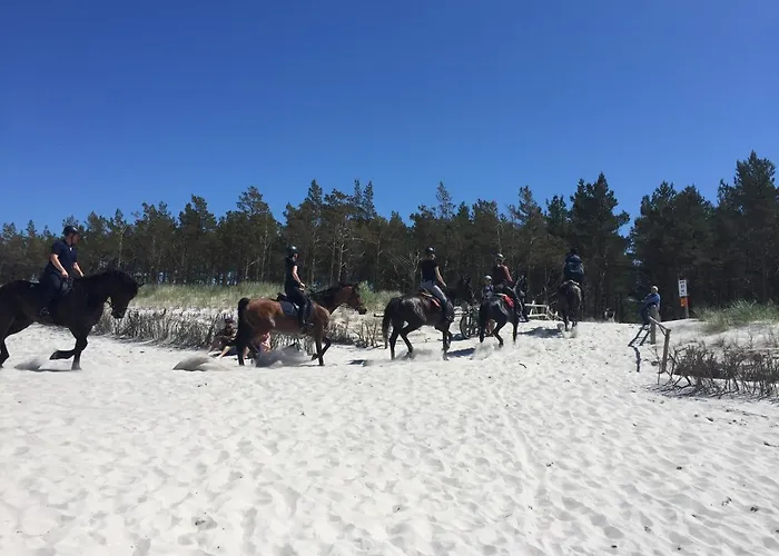 Nad Morzem Mojo Miodno Checz *