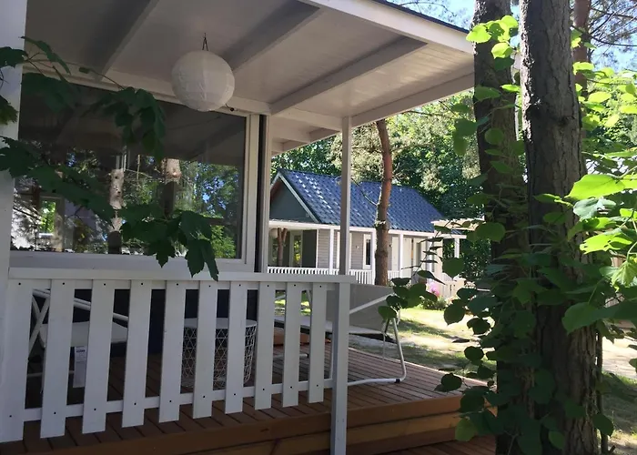 Nad Morzem Mojo Miodno Checz *