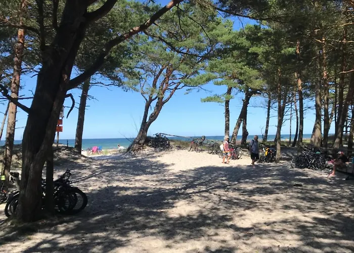 Nad Morzem Mojo Miodno Checz *