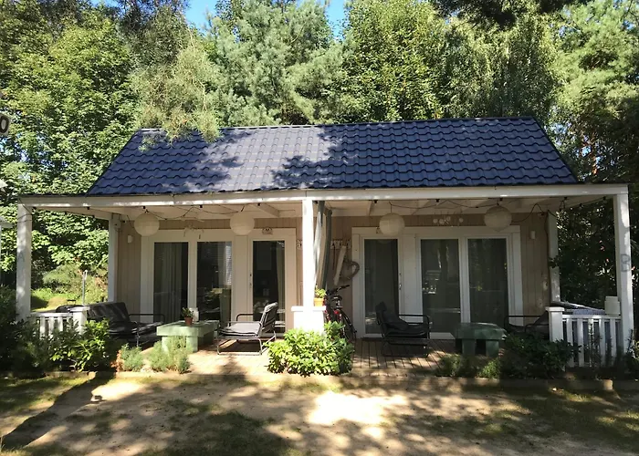 Nad Morzem Mojo Miodno Checz * סאשינו