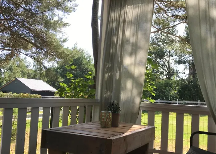 Nad Morzem Mojo Miodno Checz *