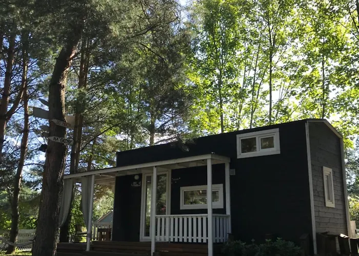 Nad Morzem Mojo Miodno Checz Sasino