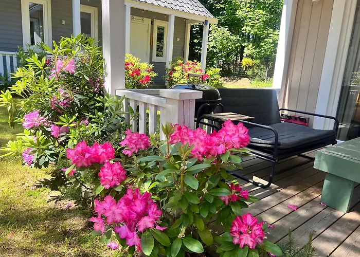 Nad Morzem Mojo Miodno Checz * Sasino